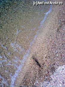 [P339] Iată cum arată nisipul la Ag.Ioannis Beach » foto by Aeerdna*
 - 
<span class="allrVoted glyphicon glyphicon-heart hidden" id="av219014"></span>
<a class="m-l-10 hidden" id="sv219014" onclick="voting_Foto_DelVot(,219014,7150)" role="button">șterge vot <span class="glyphicon glyphicon-remove"></span></a>
<a id="v9219014" class=" c-red"  onclick="voting_Foto_SetVot(219014)" role="button"><span class="glyphicon glyphicon-heart-empty"></span> <b>LIKE</b> = Votează poza</a> <img class="hidden"  id="f219014W9" src="/imagini/loader.gif" border="0" /><span class="AjErrMes hidden" id="e219014ErM"></span>