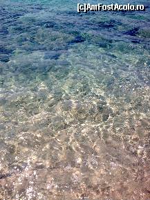 [P341] Ag. Ioannis Beach - aici se vede şi mai bine cum este apa... » foto by Aeerdna*
 - 
<span class="allrVoted glyphicon glyphicon-heart hidden" id="av219019"></span>
<a class="m-l-10 hidden" id="sv219019" onclick="voting_Foto_DelVot(,219019,7150)" role="button">șterge vot <span class="glyphicon glyphicon-remove"></span></a>
<a id="v9219019" class=" c-red"  onclick="voting_Foto_SetVot(219019)" role="button"><span class="glyphicon glyphicon-heart-empty"></span> <b>LIKE</b> = Votează poza</a> <img class="hidden"  id="f219019W9" src="/imagini/loader.gif" border="0" /><span class="AjErrMes hidden" id="e219019ErM"></span>