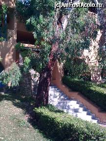 [P363] Intrare Petriko » foto by Aeerdna*
 - 
<span class="allrVoted glyphicon glyphicon-heart hidden" id="av219058"></span>
<a class="m-l-10 hidden" id="sv219058" onclick="voting_Foto_DelVot(,219058,7150)" role="button">șterge vot <span class="glyphicon glyphicon-remove"></span></a>
<a id="v9219058" class=" c-red"  onclick="voting_Foto_SetVot(219058)" role="button"><span class="glyphicon glyphicon-heart-empty"></span> <b>LIKE</b> = Votează poza</a> <img class="hidden"  id="f219058W9" src="/imagini/loader.gif" border="0" /><span class="AjErrMes hidden" id="e219058ErM"></span>