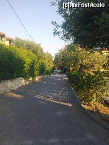 [P49] Aleea pietruită care duce spre ieşirea de la maisonette... » foto by Aeerdna*
 - 
<span class="allrVoted glyphicon glyphicon-heart hidden" id="av217096"></span>
<a class="m-l-10 hidden" id="sv217096" onclick="voting_Foto_DelVot(,217096,7150)" role="button">șterge vot <span class="glyphicon glyphicon-remove"></span></a>
<a id="v9217096" class=" c-red"  onclick="voting_Foto_SetVot(217096)" role="button"><span class="glyphicon glyphicon-heart-empty"></span> <b>LIKE</b> = Votează poza</a> <img class="hidden"  id="f217096W9" src="/imagini/loader.gif" border="0" /><span class="AjErrMes hidden" id="e217096ErM"></span>