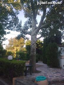 [P69] Spre terenul de tenis... » foto by Aeerdna*
 - 
<span class="allrVoted glyphicon glyphicon-heart hidden" id="av217128"></span>
<a class="m-l-10 hidden" id="sv217128" onclick="voting_Foto_DelVot(,217128,7150)" role="button">șterge vot <span class="glyphicon glyphicon-remove"></span></a>
<a id="v9217128" class=" c-red"  onclick="voting_Foto_SetVot(217128)" role="button"><span class="glyphicon glyphicon-heart-empty"></span> <b>LIKE</b> = Votează poza</a> <img class="hidden"  id="f217128W9" src="/imagini/loader.gif" border="0" /><span class="AjErrMes hidden" id="e217128ErM"></span>