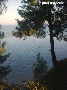 [P77] După cum vedeţi, dimineaţa, marea este foarte liniştită... » foto by Aeerdna*
 - 
<span class="allrVoted glyphicon glyphicon-heart hidden" id="av217139"></span>
<a class="m-l-10 hidden" id="sv217139" onclick="voting_Foto_DelVot(,217139,7150)" role="button">șterge vot <span class="glyphicon glyphicon-remove"></span></a>
<a id="v9217139" class=" c-red"  onclick="voting_Foto_SetVot(217139)" role="button"><span class="glyphicon glyphicon-heart-empty"></span> <b>LIKE</b> = Votează poza</a> <img class="hidden"  id="f217139W9" src="/imagini/loader.gif" border="0" /><span class="AjErrMes hidden" id="e217139ErM"></span>