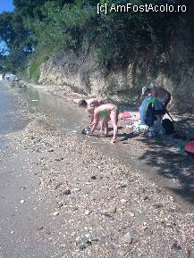 [P09] Plaja hotelului Athena - Preocupări ale turiştilor înainte de furtună » foto by Aeerdna*
 - 
<span class="allrVoted glyphicon glyphicon-heart hidden" id="av216920"></span>
<a class="m-l-10 hidden" id="sv216920" onclick="voting_Foto_DelVot(,216920,7150)" role="button">șterge vot <span class="glyphicon glyphicon-remove"></span></a>
<a id="v9216920" class=" c-red"  onclick="voting_Foto_SetVot(216920)" role="button"><span class="glyphicon glyphicon-heart-empty"></span> <b>LIKE</b> = Votează poza</a> <img class="hidden"  id="f216920W9" src="/imagini/loader.gif" border="0" /><span class="AjErrMes hidden" id="e216920ErM"></span>