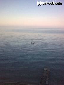 [P91] Ce ziceţi? Nu-i aşa că e plăcut?... » foto by Aeerdna*
 - 
<span class="allrVoted glyphicon glyphicon-heart hidden" id="av217160"></span>
<a class="m-l-10 hidden" id="sv217160" onclick="voting_Foto_DelVot(,217160,7150)" role="button">șterge vot <span class="glyphicon glyphicon-remove"></span></a>
<a id="v9217160" class=" c-red"  onclick="voting_Foto_SetVot(217160)" role="button"><span class="glyphicon glyphicon-heart-empty"></span> <b>LIKE</b> = Votează poza</a> <img class="hidden"  id="f217160W9" src="/imagini/loader.gif" border="0" /><span class="AjErrMes hidden" id="e217160ErM"></span>