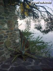 [P92] Detaliu al scării care duce la plaja... » foto by Aeerdna*
 - 
<span class="allrVoted glyphicon glyphicon-heart hidden" id="av217162"></span>
<a class="m-l-10 hidden" id="sv217162" onclick="voting_Foto_DelVot(,217162,7150)" role="button">șterge vot <span class="glyphicon glyphicon-remove"></span></a>
<a id="v9217162" class=" c-red"  onclick="voting_Foto_SetVot(217162)" role="button"><span class="glyphicon glyphicon-heart-empty"></span> <b>LIKE</b> = Votează poza</a> <img class="hidden"  id="f217162W9" src="/imagini/loader.gif" border="0" /><span class="AjErrMes hidden" id="e217162ErM"></span>