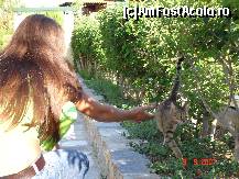 [P09]  -- <small>// FĂRĂ DESCRIERE</small> » foto by susu
 - 
<span class="allrVoted glyphicon glyphicon-heart hidden" id="av124086"></span>
<a class="m-l-10 hidden" id="sv124086" onclick="voting_Foto_DelVot(,124086,7150)" role="button">șterge vot <span class="glyphicon glyphicon-remove"></span></a>
<a id="v9124086" class=" c-red"  onclick="voting_Foto_SetVot(124086)" role="button"><span class="glyphicon glyphicon-heart-empty"></span> <b>LIKE</b> = Votează poza</a> <img class="hidden"  id="f124086W9" src="/imagini/loader.gif" border="0" /><span class="AjErrMes hidden" id="e124086ErM"></span>