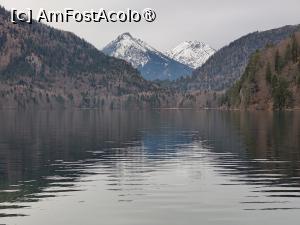 [P32] Lacul Alpsee » foto by crismis
 - 
<span class="allrVoted glyphicon glyphicon-heart hidden" id="av1431633"></span>
<a class="m-l-10 hidden" id="sv1431633" onclick="voting_Foto_DelVot(,1431633,7186)" role="button">șterge vot <span class="glyphicon glyphicon-remove"></span></a>
<a id="v91431633" class=" c-red"  onclick="voting_Foto_SetVot(1431633)" role="button"><span class="glyphicon glyphicon-heart-empty"></span> <b>LIKE</b> = Votează poza</a> <img class="hidden"  id="f1431633W9" src="/imagini/loader.gif" border="0" /><span class="AjErrMes hidden" id="e1431633ErM"></span>