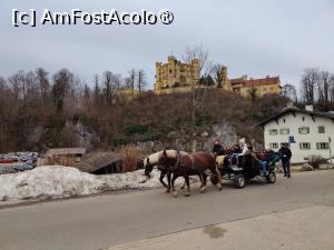 [P33] Castelul Hohenschwangau » foto by crismis
 - 
<span class="allrVoted glyphicon glyphicon-heart hidden" id="av1431634"></span>
<a class="m-l-10 hidden" id="sv1431634" onclick="voting_Foto_DelVot(,1431634,7186)" role="button">șterge vot <span class="glyphicon glyphicon-remove"></span></a>
<a id="v91431634" class=" c-red"  onclick="voting_Foto_SetVot(1431634)" role="button"><span class="glyphicon glyphicon-heart-empty"></span> <b>LIKE</b> = Votează poza</a> <img class="hidden"  id="f1431634W9" src="/imagini/loader.gif" border="0" /><span class="AjErrMes hidden" id="e1431634ErM"></span>