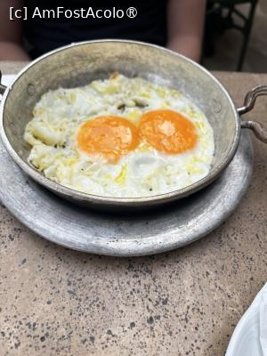 [P07]  -- <small>// FĂRĂ DESCRIERE</small> » foto by raluca banu
 - 
<span class="allrVoted glyphicon glyphicon-heart hidden" id="av1521454"></span>
<a class="m-l-10 hidden" id="sv1521454" onclick="voting_Foto_DelVot(,1521454,7254)" role="button">șterge vot <span class="glyphicon glyphicon-remove"></span></a>
<a id="v91521454" class=" c-red"  onclick="voting_Foto_SetVot(1521454)" role="button"><span class="glyphicon glyphicon-heart-empty"></span> <b>LIKE</b> = Votează poza</a> <img class="hidden"  id="f1521454W9" src="/imagini/loader.gif" border="0" /><span class="AjErrMes hidden" id="e1521454ErM"></span>