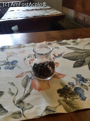 [P14] Pizzeria Venezia » foto by adso
 - 
<span class="allrVoted glyphicon glyphicon-heart hidden" id="av1528664"></span>
<a class="m-l-10 hidden" id="sv1528664" onclick="voting_Foto_DelVot(,1528664,7328)" role="button">șterge vot <span class="glyphicon glyphicon-remove"></span></a>
<a id="v91528664" class=" c-red"  onclick="voting_Foto_SetVot(1528664)" role="button"><span class="glyphicon glyphicon-heart-empty"></span> <b>LIKE</b> = Votează poza</a> <img class="hidden"  id="f1528664W9" src="/imagini/loader.gif" border="0" /><span class="AjErrMes hidden" id="e1528664ErM"></span>