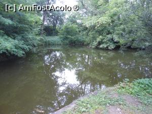 [P48] Dofteana - Castelul Ghika. Lacul. » foto by iulianic
 - 
<span class="allrVoted glyphicon glyphicon-heart hidden" id="av1476010"></span>
<a class="m-l-10 hidden" id="sv1476010" onclick="voting_Foto_DelVot(,1476010,7361)" role="button">șterge vot <span class="glyphicon glyphicon-remove"></span></a>
<a id="v91476010" class=" c-red"  onclick="voting_Foto_SetVot(1476010)" role="button"><span class="glyphicon glyphicon-heart-empty"></span> <b>LIKE</b> = Votează poza</a> <img class="hidden"  id="f1476010W9" src="/imagini/loader.gif" border="0" /><span class="AjErrMes hidden" id="e1476010ErM"></span>