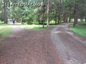 [P10] Parcul dendrologic - Dofteana. În pădure. » foto by iulianic
 - 
<span class="allrVoted glyphicon glyphicon-heart hidden" id="av1476236"></span>
<a class="m-l-10 hidden" id="sv1476236" onclick="voting_Foto_DelVot(,1476236,7361)" role="button">șterge vot <span class="glyphicon glyphicon-remove"></span></a>
<a id="v91476236" class=" c-red"  onclick="voting_Foto_SetVot(1476236)" role="button"><span class="glyphicon glyphicon-heart-empty"></span> <b>LIKE</b> = Votează poza</a> <img class="hidden"  id="f1476236W9" src="/imagini/loader.gif" border="0" /><span class="AjErrMes hidden" id="e1476236ErM"></span>