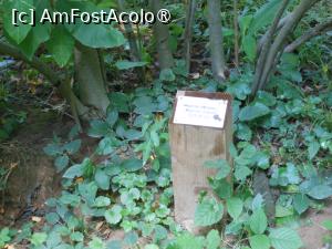 [P29] Parcul dendrologic - Dofteana. » foto by iulianic
 - 
<span class="allrVoted glyphicon glyphicon-heart hidden" id="av1476255"></span>
<a class="m-l-10 hidden" id="sv1476255" onclick="voting_Foto_DelVot(,1476255,7361)" role="button">șterge vot <span class="glyphicon glyphicon-remove"></span></a>
<a id="v91476255" class=" c-red"  onclick="voting_Foto_SetVot(1476255)" role="button"><span class="glyphicon glyphicon-heart-empty"></span> <b>LIKE</b> = Votează poza</a> <img class="hidden"  id="f1476255W9" src="/imagini/loader.gif" border="0" /><span class="AjErrMes hidden" id="e1476255ErM"></span>