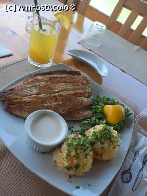 [P02] Delicioasa palamida cu sos de usturoi, orez sârbesc, lămâie și salată » foto by mnn
 - 
<span class="allrVoted glyphicon glyphicon-heart hidden" id="av1497492"></span>
<a class="m-l-10 hidden" id="sv1497492" onclick="voting_Foto_DelVot(,1497492,7401)" role="button">șterge vot <span class="glyphicon glyphicon-remove"></span></a>
<a id="v91497492" class=" c-red"  onclick="voting_Foto_SetVot(1497492)" role="button"><span class="glyphicon glyphicon-heart-empty"></span> <b>LIKE</b> = Votează poza</a> <img class="hidden"  id="f1497492W9" src="/imagini/loader.gif" border="0" /><span class="AjErrMes hidden" id="e1497492ErM"></span>