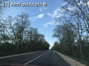 [P12] Drumul cu mașina de la București la Duni – pe tronsonul Razgrad - Târgovişte » foto by nicole33
 - 
<span class="allrVoted glyphicon glyphicon-heart hidden" id="av976705"></span>
<a class="m-l-10 hidden" id="sv976705" onclick="voting_Foto_DelVot(,976705,7422)" role="button">șterge vot <span class="glyphicon glyphicon-remove"></span></a>
<a id="v9976705" class=" c-red"  onclick="voting_Foto_SetVot(976705)" role="button"><span class="glyphicon glyphicon-heart-empty"></span> <b>LIKE</b> = Votează poza</a> <img class="hidden"  id="f976705W9" src="/imagini/loader.gif" border="0" /><span class="AjErrMes hidden" id="e976705ErM"></span>