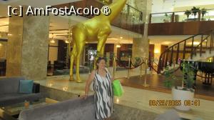 [P01]  -- <small>// FĂRĂ DESCRIERE</small> » foto by Radu 60
 - 
<span class="allrVoted glyphicon glyphicon-heart hidden" id="av1503295"></span>
<a class="m-l-10 hidden" id="sv1503295" onclick="voting_Foto_DelVot(,1503295,7514)" role="button">șterge vot <span class="glyphicon glyphicon-remove"></span></a>
<a id="v91503295" class=" c-red"  onclick="voting_Foto_SetVot(1503295)" role="button"><span class="glyphicon glyphicon-heart-empty"></span> <b>LIKE</b> = Votează poza</a> <img class="hidden"  id="f1503295W9" src="/imagini/loader.gif" border="0" /><span class="AjErrMes hidden" id="e1503295ErM"></span>