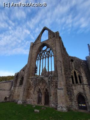 [P38] Tintern Abbey » foto by Marius 72
 - 
<span class="allrVoted glyphicon glyphicon-heart hidden" id="av1504390"></span>
<a class="m-l-10 hidden" id="sv1504390" onclick="voting_Foto_DelVot(,1504390,7515)" role="button">șterge vot <span class="glyphicon glyphicon-remove"></span></a>
<a id="v91504390" class=" c-red"  onclick="voting_Foto_SetVot(1504390)" role="button"><span class="glyphicon glyphicon-heart-empty"></span> <b>LIKE</b> = Votează poza</a> <img class="hidden"  id="f1504390W9" src="/imagini/loader.gif" border="0" /><span class="AjErrMes hidden" id="e1504390ErM"></span>