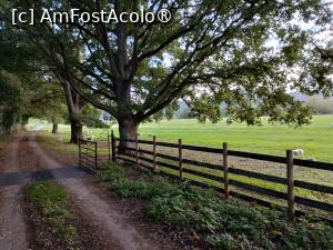 [P39] Ţara Galilor » foto by Marius 72
 - 
<span class="allrVoted glyphicon glyphicon-heart hidden" id="av1504391"></span>
<a class="m-l-10 hidden" id="sv1504391" onclick="voting_Foto_DelVot(,1504391,7515)" role="button">șterge vot <span class="glyphicon glyphicon-remove"></span></a>
<a id="v91504391" class=" c-red"  onclick="voting_Foto_SetVot(1504391)" role="button"><span class="glyphicon glyphicon-heart-empty"></span> <b>LIKE</b> = Votează poza</a> <img class="hidden"  id="f1504391W9" src="/imagini/loader.gif" border="0" /><span class="AjErrMes hidden" id="e1504391ErM"></span>