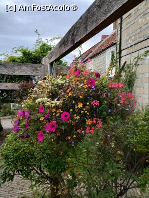 [P26] Intrarea la Challice Well » foto by Marius 72
 - 
<span class="allrVoted glyphicon glyphicon-heart hidden" id="av1505871"></span>
<a class="m-l-10 hidden" id="sv1505871" onclick="voting_Foto_DelVot(,1505871,7515)" role="button">șterge vot <span class="glyphicon glyphicon-remove"></span></a>
<a id="v91505871" class=" c-red"  onclick="voting_Foto_SetVot(1505871)" role="button"><span class="glyphicon glyphicon-heart-empty"></span> <b>LIKE</b> = Votează poza</a> <img class="hidden"  id="f1505871W9" src="/imagini/loader.gif" border="0" /><span class="AjErrMes hidden" id="e1505871ErM"></span>