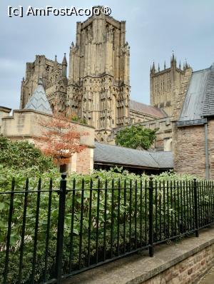 [P46] Catedrala din Wells » foto by Marius 72
 - 
<span class="allrVoted glyphicon glyphicon-heart hidden" id="av1505891"></span>
<a class="m-l-10 hidden" id="sv1505891" onclick="voting_Foto_DelVot(,1505891,7515)" role="button">șterge vot <span class="glyphicon glyphicon-remove"></span></a>
<a id="v91505891" class=" c-red"  onclick="voting_Foto_SetVot(1505891)" role="button"><span class="glyphicon glyphicon-heart-empty"></span> <b>LIKE</b> = Votează poza</a> <img class="hidden"  id="f1505891W9" src="/imagini/loader.gif" border="0" /><span class="AjErrMes hidden" id="e1505891ErM"></span>