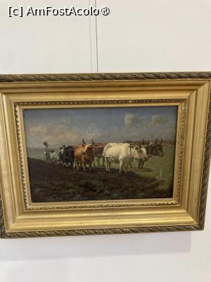 [P11] Carul cu boi » foto by aurora56
 - 
<span class="allrVoted glyphicon glyphicon-heart hidden" id="av1521071"></span>
<a class="m-l-10 hidden" id="sv1521071" onclick="voting_Foto_DelVot(,1521071,7530)" role="button">șterge vot <span class="glyphicon glyphicon-remove"></span></a>
<a id="v91521071" class=" c-red"  onclick="voting_Foto_SetVot(1521071)" role="button"><span class="glyphicon glyphicon-heart-empty"></span> <b>LIKE</b> = Votează poza</a> <img class="hidden"  id="f1521071W9" src="/imagini/loader.gif" border="0" /><span class="AjErrMes hidden" id="e1521071ErM"></span>