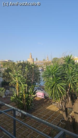 [P10] La inaltime » foto by kmy
 - 
<span class="allrVoted glyphicon glyphicon-heart hidden" id="av1515548"></span>
<a class="m-l-10 hidden" id="sv1515548" onclick="voting_Foto_DelVot(,1515548,7560)" role="button">șterge vot <span class="glyphicon glyphicon-remove"></span></a>
<a id="v91515548" class=" c-red"  onclick="voting_Foto_SetVot(1515548)" role="button"><span class="glyphicon glyphicon-heart-empty"></span> <b>LIKE</b> = Votează poza</a> <img class="hidden"  id="f1515548W9" src="/imagini/loader.gif" border="0" /><span class="AjErrMes hidden" id="e1515548ErM"></span>