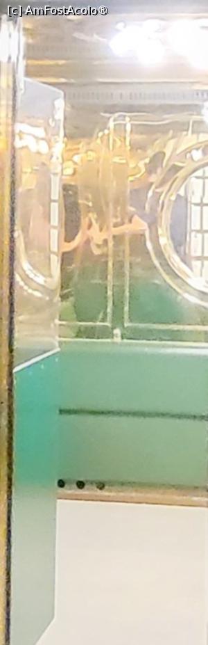 [P07] Interiorul liftului mare este acoperit cu alama lustruita, oglinzi venetiene si piele verde, insa e interzisa fotografierea. Cabina somptuoasa a liftului a fost echipata cu un ceas clasic cu cadran alb si un telefon de urgenta din bachelit negru, iluminarea interioara fiind asigurata de un cerc de opt lampi stralucitoare pe tavan. » foto by geani anto
 - 
<span class="allrVoted glyphicon glyphicon-heart hidden" id="av1417154"></span>
<a class="m-l-10 hidden" id="sv1417154" onclick="voting_Foto_DelVot(,1417154,7573)" role="button">șterge vot <span class="glyphicon glyphicon-remove"></span></a>
<a id="v91417154" class=" c-red"  onclick="voting_Foto_SetVot(1417154)" role="button"><span class="glyphicon glyphicon-heart-empty"></span> <b>LIKE</b> = Votează poza</a> <img class="hidden"  id="f1417154W9" src="/imagini/loader.gif" border="0" /><span class="AjErrMes hidden" id="e1417154ErM"></span>