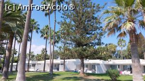 P15 [OCT-2023] Nissi Beach - bungalowurile