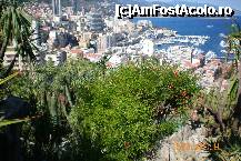 [P13] Perspectiva asupra Monaco-uli, din gradina exotica » foto by liviadavidescu
 - 
<span class="allrVoted glyphicon glyphicon-heart hidden" id="av172912"></span>
<a class="m-l-10 hidden" id="sv172912" onclick="voting_Foto_DelVot(,172912,7768)" role="button">șterge vot <span class="glyphicon glyphicon-remove"></span></a>
<a id="v9172912" class=" c-red"  onclick="voting_Foto_SetVot(172912)" role="button"><span class="glyphicon glyphicon-heart-empty"></span> <b>LIKE</b> = Votează poza</a> <img class="hidden"  id="f172912W9" src="/imagini/loader.gif" border="0" /><span class="AjErrMes hidden" id="e172912ErM"></span>