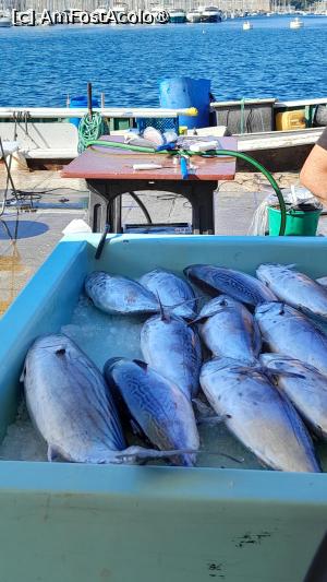 [P03] Portul vechi Marsilia, piata de peste » foto by Yolanda
 - 
<span class="allrVoted glyphicon glyphicon-heart hidden" id="av1513471"></span>
<a class="m-l-10 hidden" id="sv1513471" onclick="voting_Foto_DelVot(,1513471,7772)" role="button">șterge vot <span class="glyphicon glyphicon-remove"></span></a>
<a id="v91513471" class=" c-red"  onclick="voting_Foto_SetVot(1513471)" role="button"><span class="glyphicon glyphicon-heart-empty"></span> <b>LIKE</b> = Votează poza</a> <img class="hidden"  id="f1513471W9" src="/imagini/loader.gif" border="0" /><span class="AjErrMes hidden" id="e1513471ErM"></span>