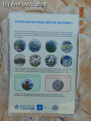 [P67] insula Pomegues » foto by Yolanda
 - 
<span class="allrVoted glyphicon glyphicon-heart hidden" id="av1513567"></span>
<a class="m-l-10 hidden" id="sv1513567" onclick="voting_Foto_DelVot(,1513567,7772)" role="button">șterge vot <span class="glyphicon glyphicon-remove"></span></a>
<a id="v91513567" class=" c-red"  onclick="voting_Foto_SetVot(1513567)" role="button"><span class="glyphicon glyphicon-heart-empty"></span> <b>LIKE</b> = Votează poza</a> <img class="hidden"  id="f1513567W9" src="/imagini/loader.gif" border="0" /><span class="AjErrMes hidden" id="e1513567ErM"></span>