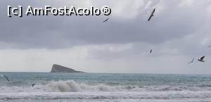 P14 [SEP-2019] Plajele Benidormului - admirând zborul pescăruşilor pe plaja Poniente