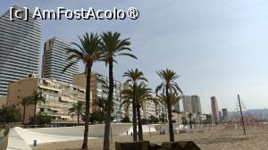 [P17] La pas prin Benidorm,Poniente » foto by elenaadina
 - 
<span class="allrVoted glyphicon glyphicon-heart hidden" id="av1451237"></span>
<a class="m-l-10 hidden" id="sv1451237" onclick="voting_Foto_DelVot(,1451237,7803)" role="button">șterge vot <span class="glyphicon glyphicon-remove"></span></a>
<a id="v91451237" class=" c-red"  onclick="voting_Foto_SetVot(1451237)" role="button"><span class="glyphicon glyphicon-heart-empty"></span> <b>LIKE</b> = Votează poza</a> <img class="hidden"  id="f1451237W9" src="/imagini/loader.gif" border="0" /><span class="AjErrMes hidden" id="e1451237ErM"></span>