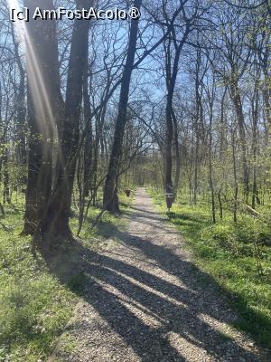 [P34] Focșani- Crângul Petrești » foto by Yersinia Pestis
 - 
<span class="allrVoted glyphicon glyphicon-heart hidden" id="av1523949"></span>
<a class="m-l-10 hidden" id="sv1523949" onclick="voting_Foto_DelVot(,1523949,7833)" role="button">șterge vot <span class="glyphicon glyphicon-remove"></span></a>
<a id="v91523949" class=" c-red"  onclick="voting_Foto_SetVot(1523949)" role="button"><span class="glyphicon glyphicon-heart-empty"></span> <b>LIKE</b> = Votează poza</a> <img class="hidden"  id="f1523949W9" src="/imagini/loader.gif" border="0" /><span class="AjErrMes hidden" id="e1523949ErM"></span>