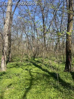 [P35] Focșani- Crângul Petrești » foto by Yersinia Pestis
 - 
<span class="allrVoted glyphicon glyphicon-heart hidden" id="av1523950"></span>
<a class="m-l-10 hidden" id="sv1523950" onclick="voting_Foto_DelVot(,1523950,7833)" role="button">șterge vot <span class="glyphicon glyphicon-remove"></span></a>
<a id="v91523950" class=" c-red"  onclick="voting_Foto_SetVot(1523950)" role="button"><span class="glyphicon glyphicon-heart-empty"></span> <b>LIKE</b> = Votează poza</a> <img class="hidden"  id="f1523950W9" src="/imagini/loader.gif" border="0" /><span class="AjErrMes hidden" id="e1523950ErM"></span>