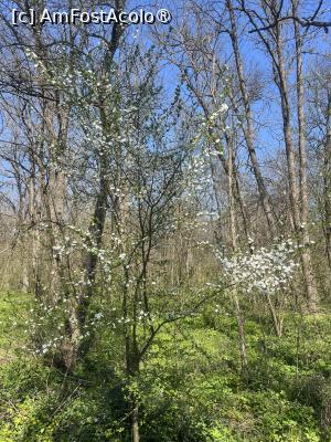 [P39] Focșani- Crângul Petrești » foto by Yersinia Pestis
 - 
<span class="allrVoted glyphicon glyphicon-heart hidden" id="av1523954"></span>
<a class="m-l-10 hidden" id="sv1523954" onclick="voting_Foto_DelVot(,1523954,7833)" role="button">șterge vot <span class="glyphicon glyphicon-remove"></span></a>
<a id="v91523954" class=" c-red"  onclick="voting_Foto_SetVot(1523954)" role="button"><span class="glyphicon glyphicon-heart-empty"></span> <b>LIKE</b> = Votează poza</a> <img class="hidden"  id="f1523954W9" src="/imagini/loader.gif" border="0" /><span class="AjErrMes hidden" id="e1523954ErM"></span>