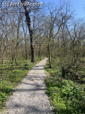 [P41] Focșani- Crângul Petrești » foto by Yersinia Pestis
 - 
<span class="allrVoted glyphicon glyphicon-heart hidden" id="av1523956"></span>
<a class="m-l-10 hidden" id="sv1523956" onclick="voting_Foto_DelVot(,1523956,7833)" role="button">șterge vot <span class="glyphicon glyphicon-remove"></span></a>
<a id="v91523956" class=" c-red"  onclick="voting_Foto_SetVot(1523956)" role="button"><span class="glyphicon glyphicon-heart-empty"></span> <b>LIKE</b> = Votează poza</a> <img class="hidden"  id="f1523956W9" src="/imagini/loader.gif" border="0" /><span class="AjErrMes hidden" id="e1523956ErM"></span>