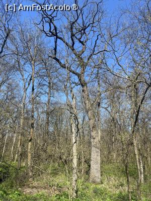 [P43] Focșani- Crângul Petrești » foto by Yersinia Pestis
 - 
<span class="allrVoted glyphicon glyphicon-heart hidden" id="av1523958"></span>
<a class="m-l-10 hidden" id="sv1523958" onclick="voting_Foto_DelVot(,1523958,7833)" role="button">șterge vot <span class="glyphicon glyphicon-remove"></span></a>
<a id="v91523958" class=" c-red"  onclick="voting_Foto_SetVot(1523958)" role="button"><span class="glyphicon glyphicon-heart-empty"></span> <b>LIKE</b> = Votează poza</a> <img class="hidden"  id="f1523958W9" src="/imagini/loader.gif" border="0" /><span class="AjErrMes hidden" id="e1523958ErM"></span>