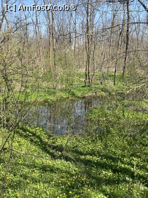 [P49] Focșani- Crângul Petrești » foto by Yersinia Pestis
 - 
<span class="allrVoted glyphicon glyphicon-heart hidden" id="av1523964"></span>
<a class="m-l-10 hidden" id="sv1523964" onclick="voting_Foto_DelVot(,1523964,7833)" role="button">șterge vot <span class="glyphicon glyphicon-remove"></span></a>
<a id="v91523964" class=" c-red"  onclick="voting_Foto_SetVot(1523964)" role="button"><span class="glyphicon glyphicon-heart-empty"></span> <b>LIKE</b> = Votează poza</a> <img class="hidden"  id="f1523964W9" src="/imagini/loader.gif" border="0" /><span class="AjErrMes hidden" id="e1523964ErM"></span>