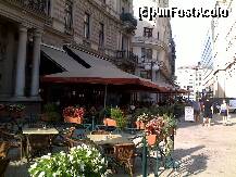 [P01] Fresco Restaurant & Cafe - terasa-restaurant, văzută dinspre Dunăre. » foto by creivean
 - 
<span class="allrVoted glyphicon glyphicon-heart hidden" id="av161186"></span>
<a class="m-l-10 hidden" id="sv161186" onclick="voting_Foto_DelVot(,161186,7866)" role="button">șterge vot <span class="glyphicon glyphicon-remove"></span></a>
<a id="v9161186" class=" c-red"  onclick="voting_Foto_SetVot(161186)" role="button"><span class="glyphicon glyphicon-heart-empty"></span> <b>LIKE</b> = Votează poza</a> <img class="hidden"  id="f161186W9" src="/imagini/loader.gif" border="0" /><span class="AjErrMes hidden" id="e161186ErM"></span>