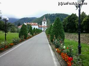 P05 [JUL-2014] Sambata de Sus-Aleea ce duce spre Manastirea Brancoveanu