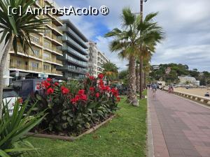 [P27] Statiunea Lloret » foto by Mirinda
 - 
<span class="allrVoted glyphicon glyphicon-heart hidden" id="av1512665"></span>
<a class="m-l-10 hidden" id="sv1512665" onclick="voting_Foto_DelVot(,1512665,7884)" role="button">șterge vot <span class="glyphicon glyphicon-remove"></span></a>
<a id="v91512665" class=" c-red"  onclick="voting_Foto_SetVot(1512665)" role="button"><span class="glyphicon glyphicon-heart-empty"></span> <b>LIKE</b> = Votează poza</a> <img class="hidden"  id="f1512665W9" src="/imagini/loader.gif" border="0" /><span class="AjErrMes hidden" id="e1512665ErM"></span>