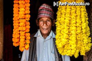 [P12] vanzator de flori » foto by buterfly*
 - 
<span class="allrVoted glyphicon glyphicon-heart hidden" id="av508266"></span>
<a class="m-l-10 hidden" id="sv508266" onclick="voting_Foto_DelVot(,508266,7929)" role="button">șterge vot <span class="glyphicon glyphicon-remove"></span></a>
<a id="v9508266" class=" c-red"  onclick="voting_Foto_SetVot(508266)" role="button"><span class="glyphicon glyphicon-heart-empty"></span> <b>LIKE</b> = Votează poza</a> <img class="hidden"  id="f508266W9" src="/imagini/loader.gif" border="0" /><span class="AjErrMes hidden" id="e508266ErM"></span>