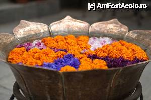 [P56] pa si la revedere... noi mergem la culcare » foto by buterfly*
 - 
<span class="allrVoted glyphicon glyphicon-heart hidden" id="av508312"></span>
<a class="m-l-10 hidden" id="sv508312" onclick="voting_Foto_DelVot(,508312,7929)" role="button">șterge vot <span class="glyphicon glyphicon-remove"></span></a>
<a id="v9508312" class=" c-red"  onclick="voting_Foto_SetVot(508312)" role="button"><span class="glyphicon glyphicon-heart-empty"></span> <b>LIKE</b> = Votează poza</a> <img class="hidden"  id="f508312W9" src="/imagini/loader.gif" border="0" /><span class="AjErrMes hidden" id="e508312ErM"></span>