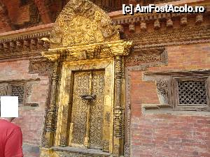 [P11] usa aurita » foto by buterfly*
 - 
<span class="allrVoted glyphicon glyphicon-heart hidden" id="av508512"></span>
<a class="m-l-10 hidden" id="sv508512" onclick="voting_Foto_DelVot(,508512,7929)" role="button">șterge vot <span class="glyphicon glyphicon-remove"></span></a>
<a id="v9508512" class=" c-red"  onclick="voting_Foto_SetVot(508512)" role="button"><span class="glyphicon glyphicon-heart-empty"></span> <b>LIKE</b> = Votează poza</a> <img class="hidden"  id="f508512W9" src="/imagini/loader.gif" border="0" /><span class="AjErrMes hidden" id="e508512ErM"></span>