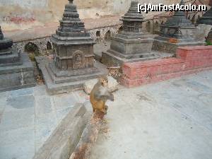 [P10]  -- <small>// FĂRĂ DESCRIERE</small> » foto by buterfly*
 - 
<span class="allrVoted glyphicon glyphicon-heart hidden" id="av509237"></span>
<a class="m-l-10 hidden" id="sv509237" onclick="voting_Foto_DelVot(,509237,7929)" role="button">șterge vot <span class="glyphicon glyphicon-remove"></span></a>
<a id="v9509237" class=" c-red"  onclick="voting_Foto_SetVot(509237)" role="button"><span class="glyphicon glyphicon-heart-empty"></span> <b>LIKE</b> = Votează poza</a> <img class="hidden"  id="f509237W9" src="/imagini/loader.gif" border="0" /><span class="AjErrMes hidden" id="e509237ErM"></span>