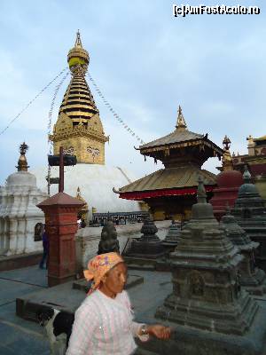 [P18] minunata stupa » foto by buterfly*
 - 
<span class="allrVoted glyphicon glyphicon-heart hidden" id="av509245"></span>
<a class="m-l-10 hidden" id="sv509245" onclick="voting_Foto_DelVot(,509245,7929)" role="button">șterge vot <span class="glyphicon glyphicon-remove"></span></a>
<a id="v9509245" class=" c-red"  onclick="voting_Foto_SetVot(509245)" role="button"><span class="glyphicon glyphicon-heart-empty"></span> <b>LIKE</b> = Votează poza</a> <img class="hidden"  id="f509245W9" src="/imagini/loader.gif" border="0" /><span class="AjErrMes hidden" id="e509245ErM"></span>