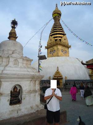 [P19]  -- <small>// FĂRĂ DESCRIERE</small> » foto by buterfly*
 - 
<span class="allrVoted glyphicon glyphicon-heart hidden" id="av509246"></span>
<a class="m-l-10 hidden" id="sv509246" onclick="voting_Foto_DelVot(,509246,7929)" role="button">șterge vot <span class="glyphicon glyphicon-remove"></span></a>
<a id="v9509246" class=" c-red"  onclick="voting_Foto_SetVot(509246)" role="button"><span class="glyphicon glyphicon-heart-empty"></span> <b>LIKE</b> = Votează poza</a> <img class="hidden"  id="f509246W9" src="/imagini/loader.gif" border="0" /><span class="AjErrMes hidden" id="e509246ErM"></span>