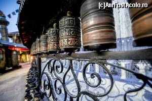 [P28] mosorele cu incantatii » foto by buterfly*
 - 
<span class="allrVoted glyphicon glyphicon-heart hidden" id="av509255"></span>
<a class="m-l-10 hidden" id="sv509255" onclick="voting_Foto_DelVot(,509255,7929)" role="button">șterge vot <span class="glyphicon glyphicon-remove"></span></a>
<a id="v9509255" class=" c-red"  onclick="voting_Foto_SetVot(509255)" role="button"><span class="glyphicon glyphicon-heart-empty"></span> <b>LIKE</b> = Votează poza</a> <img class="hidden"  id="f509255W9" src="/imagini/loader.gif" border="0" /><span class="AjErrMes hidden" id="e509255ErM"></span>