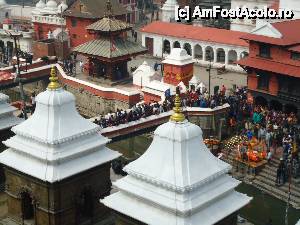 [P10] printre oameni, o vaca traverseaza podul » foto by buterfly*
 - 
<span class="allrVoted glyphicon glyphicon-heart hidden" id="av509547"></span>
<a class="m-l-10 hidden" id="sv509547" onclick="voting_Foto_DelVot(,509547,7929)" role="button">șterge vot <span class="glyphicon glyphicon-remove"></span></a>
<a id="v9509547" class=" c-red"  onclick="voting_Foto_SetVot(509547)" role="button"><span class="glyphicon glyphicon-heart-empty"></span> <b>LIKE</b> = Votează poza</a> <img class="hidden"  id="f509547W9" src="/imagini/loader.gif" border="0" /><span class="AjErrMes hidden" id="e509547ErM"></span>